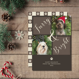 Furry And Bright Brown 2 Photo Dog Holiday Card