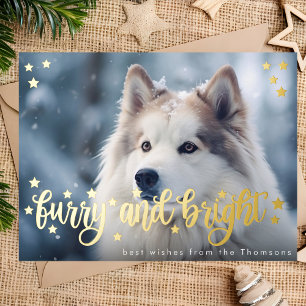 Furry and bright christmas gold pet photo foil holiday postcard