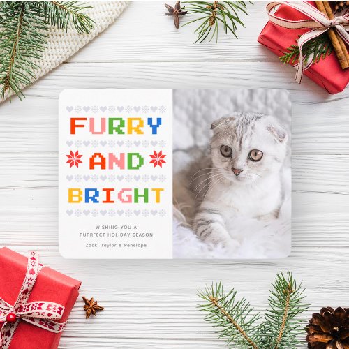 Furry and Bright  Christmas Holiday Cat Photo