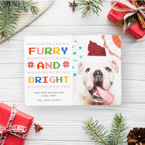 Furry and Bright  Christmas Holiday Pet Dog Photo