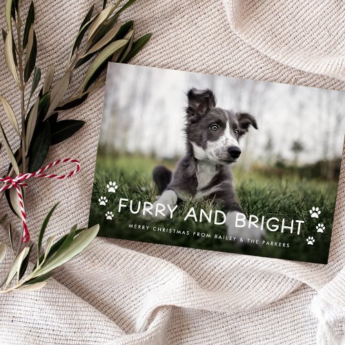 Furry and Bright  Christmas Photo from the Dog Magnetic Invitation