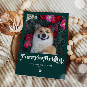 Furry And Bright Dog Photo Funny Christmas Holiday Card
