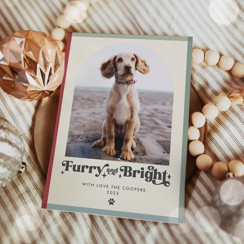 Furry And Bright Dog Photo Funny Christmas Holiday Card