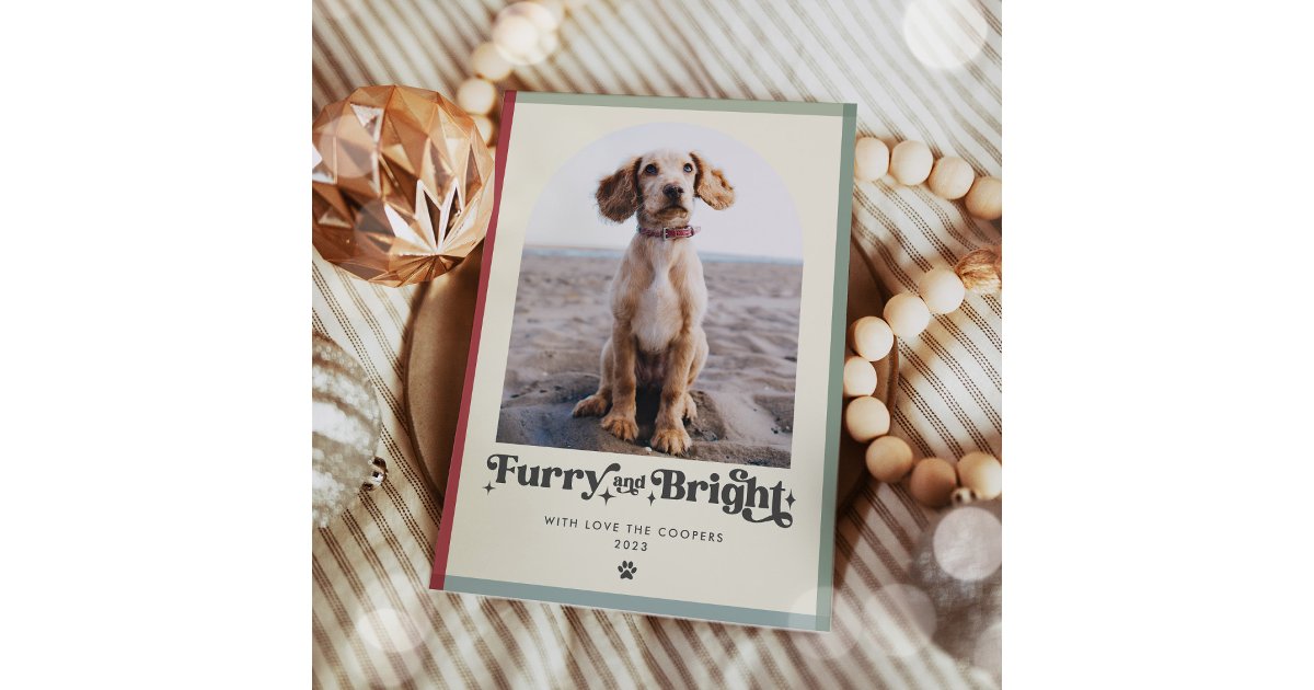 Furry And Bright Dog Photo Funny Christmas Holiday Card | Zazzle