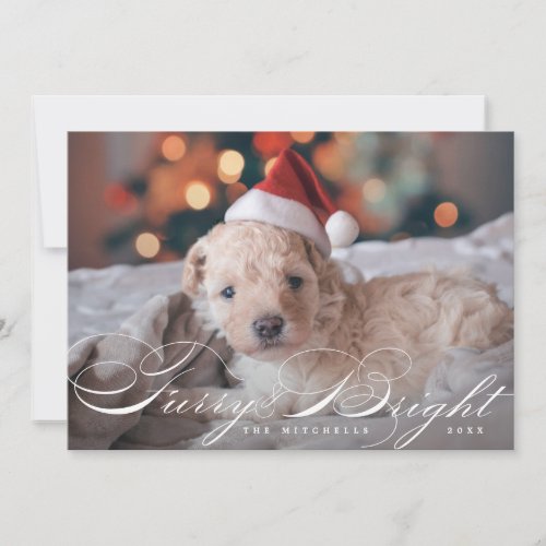 Furry and Bright Elegant Pet Dog Photo Card