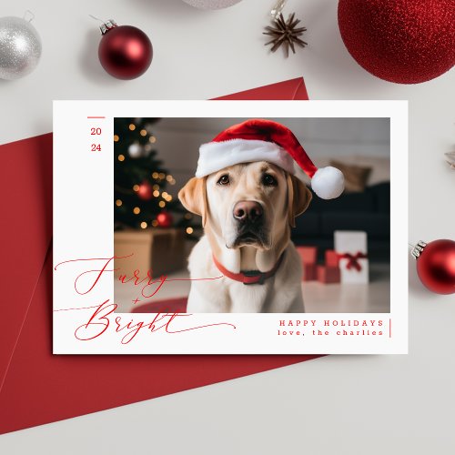 Furry and Bright Funny Pet Dog Photo Christmas Holiday Card