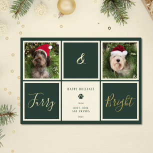 Furry And Bright Green Gold Foil Photo Dog Holiday Card