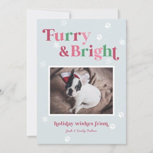 Furry and Bright Holiday Pet Photo Card