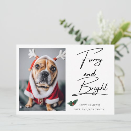 Furry and Bright Pet Dog Photo Mistletoe Christmas Holiday Card
