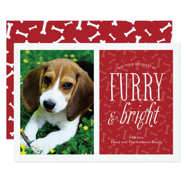 Furry And Bright Pet Photo Card