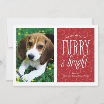 Furry And Bright Pet Photo Card by BanterandCharm at Zazzle