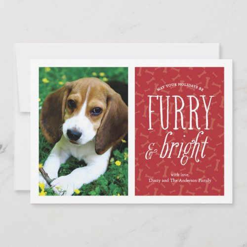 Furry and Bright Pet Photo Card