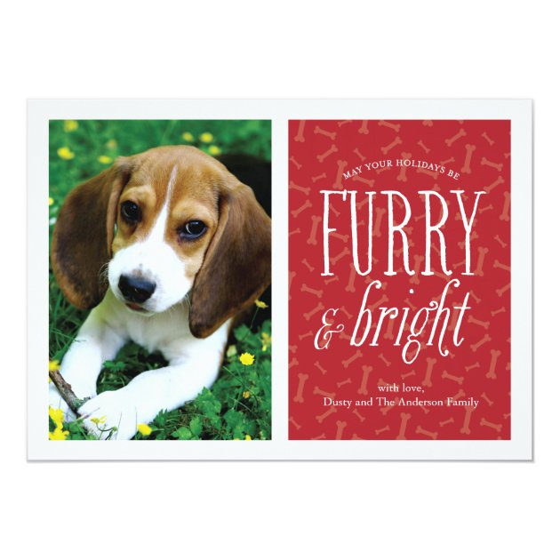 Furry And Bright Pet Photo Card