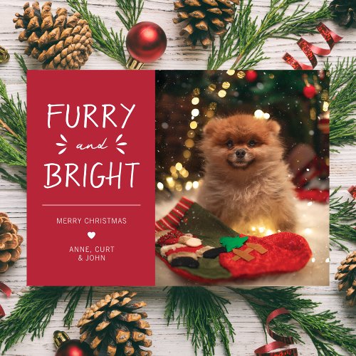 Furry and Bright Pet Photo Christmas Holiday