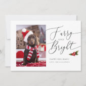Furry and Bright Pet Photo Christmas Holiday Card (Front)