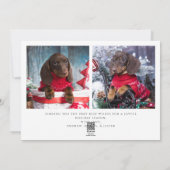 Furry and Bright Pet Photo Christmas Holiday Card (Back)