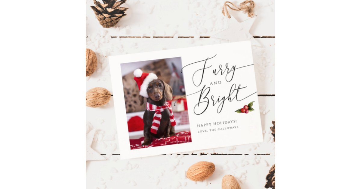 Furry and Bright Pet Photo Christmas Holiday Card | Zazzle