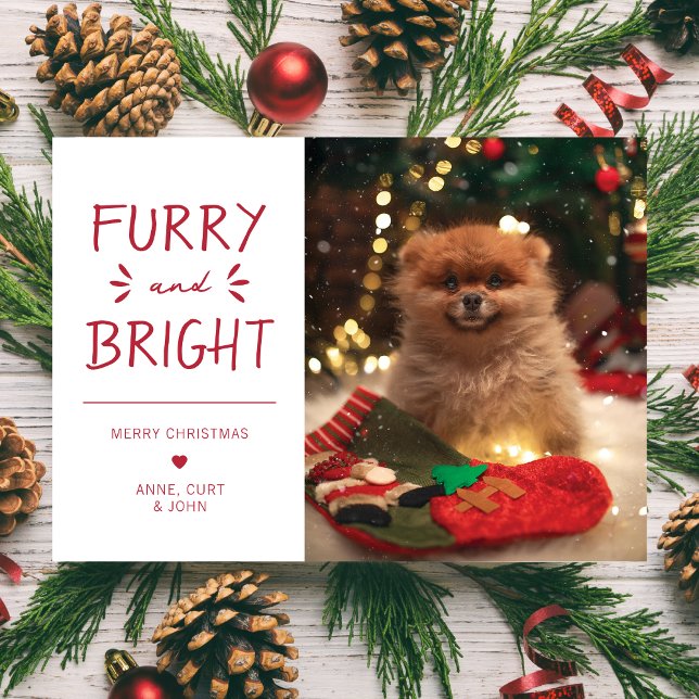 Furry and Bright Pet Photo Christmas Holiday Red Card (Creator Uploaded)