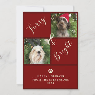 Furry And Bright Red 2 Photo Dog Holiday Card