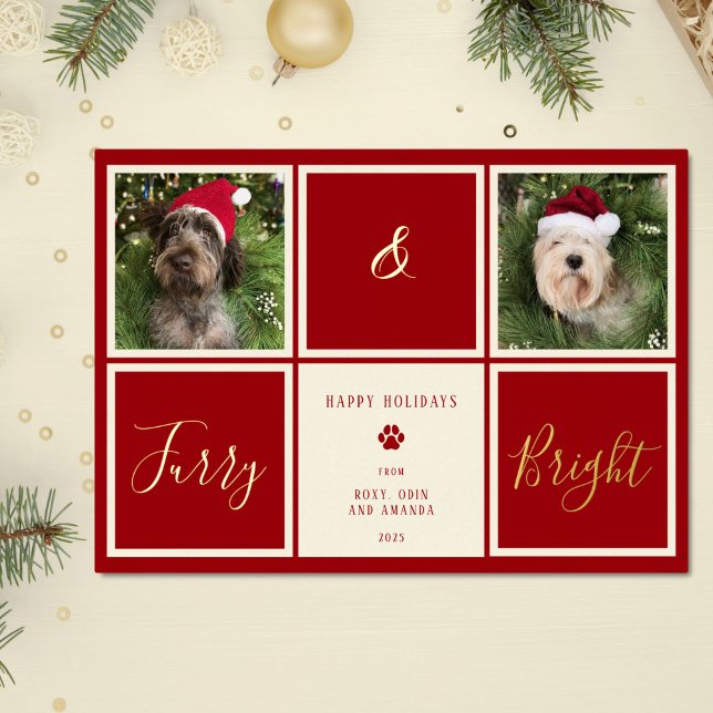 Furry And Bright Red Gold Foil Photo Dog Holiday Card (Creator Uploaded)