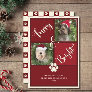 Furry And Bright Red Photo Collage Dog  Holiday Card
