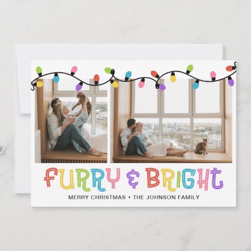 Furry  Bright Cat Photo Holiday Card