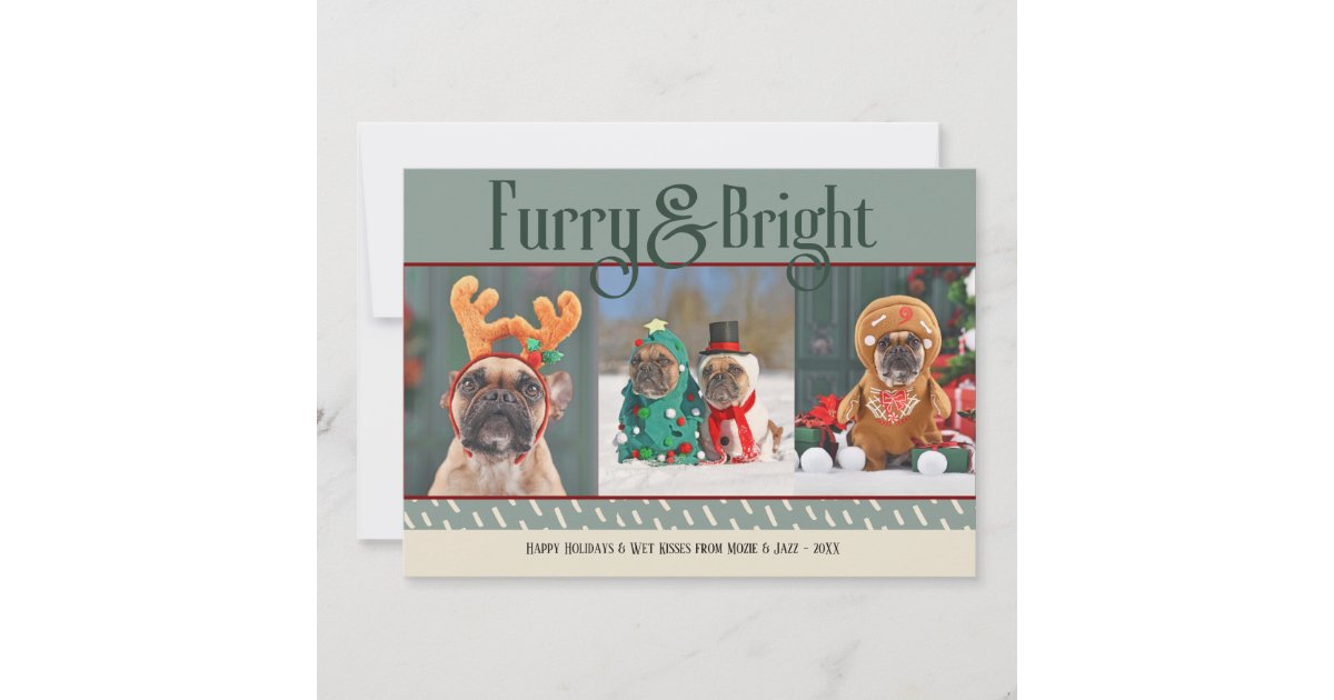 Furry & Bright Dog Christmas Photo Holiday Card | Zazzle