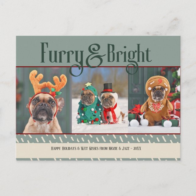 Furry& Bright Dog Christmas Photo Holiday Postcard (Front)