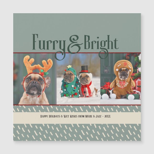 Furry& Bright Dog Christmas Photo Holiday Postcard (Front)