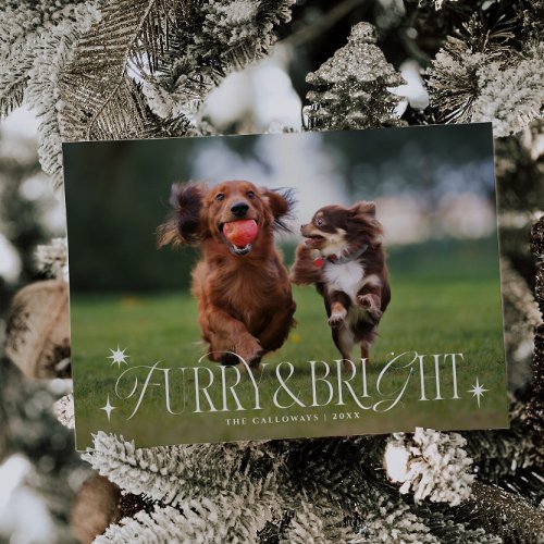 Furry  Bright Dog Horizontal Photo Christmas Holiday Card