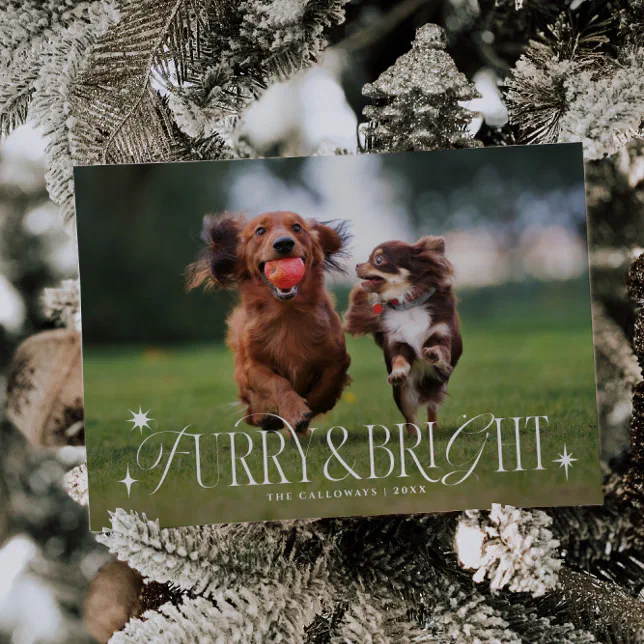 Furry & Bright Dog Horizontal Photo Christmas Holiday Card | Zazzle