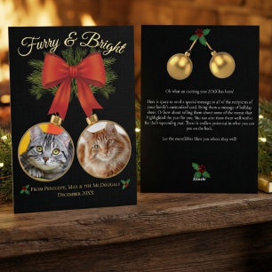 Furry & Bright Festive Photo Family Cat Foil Holiday Card