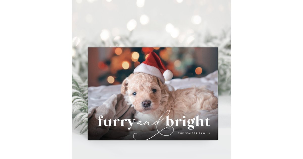 Furry & Bright Full Photo Holiday Card | Zazzle