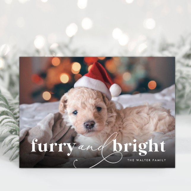 Furry & Bright Full Photo Holiday Card (Furry & Bright Full Photo Holiday Card)