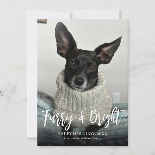 Furry Bright Happy Holidays Pet Dog Photo Holiday Card