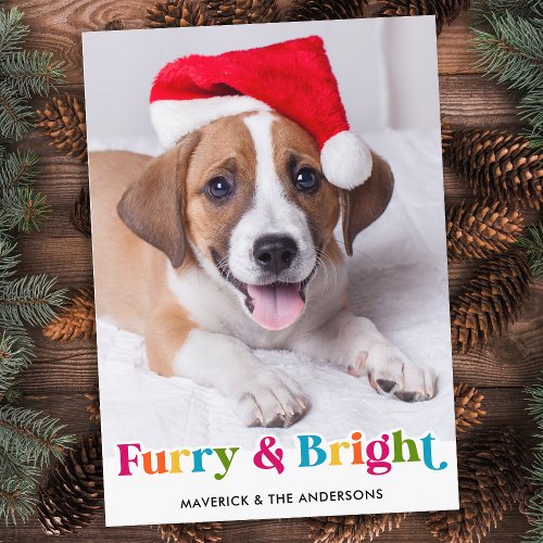 Furry  Bright Modern Colorful Pet Dog Photo Holiday Card