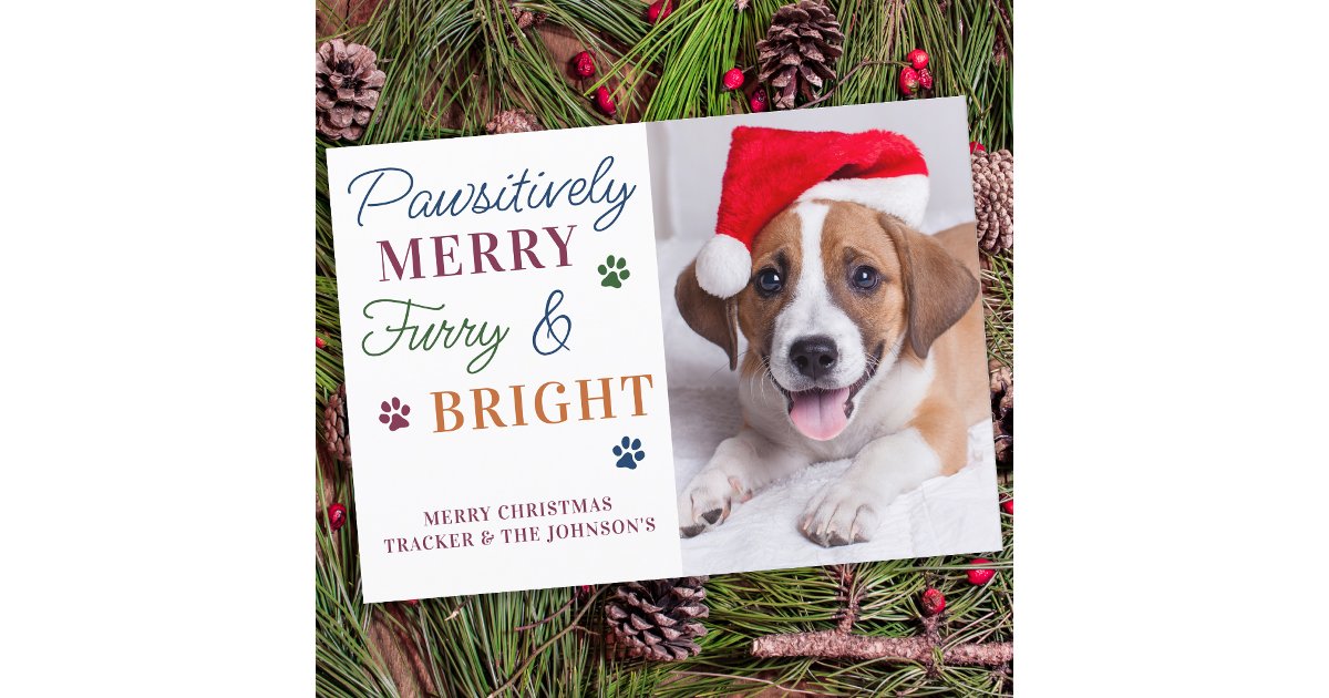 Furry & Bright Personalized Colorful Pet Dog Photo Holiday Card | Zazzle