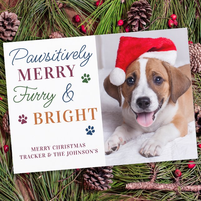 Furry & Bright Personalized Colorful Pet Dog Photo Holiday Card (Creator Uploaded)