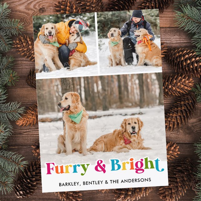 Furry & Bright Personalized Colorful Pet Dog Photo Holiday Card (Creator Uploaded)