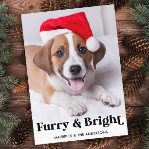 Furry & Bright Personalized Simple Pet Dog Photo Holiday Card