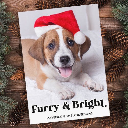 Furry  Bright Personalized Simple Pet Dog Photo Holiday Card