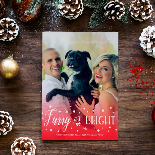 Furry  Bright _ Pet Christmas Photo Holiday Card