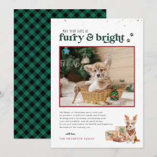 Furry & Bright | Pet Holiday Photo Card