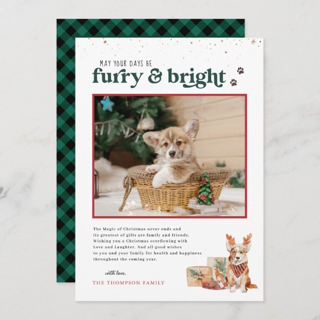 Furry & Bright | Pet Holiday Photo Card (Front/Back)