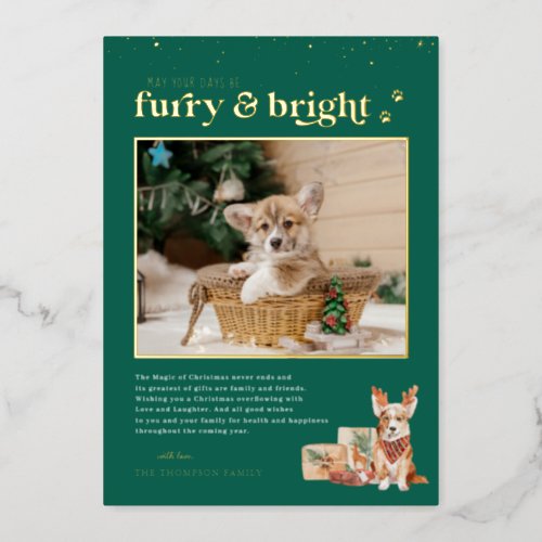 Furry  Bright  Pet Holiday Photo Card
