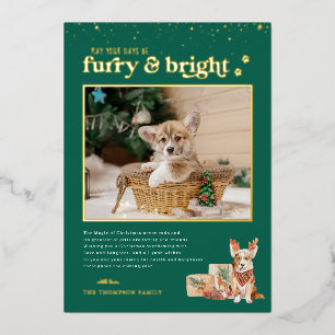Furry & Bright   Pet Holiday Photo Card