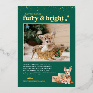Furry & Bright | Pet Holiday Photo Card