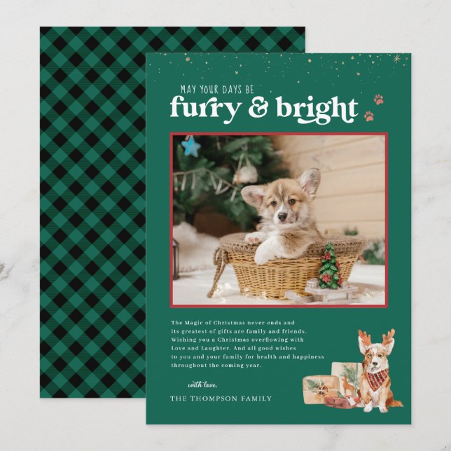 Furry & Bright | Pet Holiday Photo Card (Front/Back)
