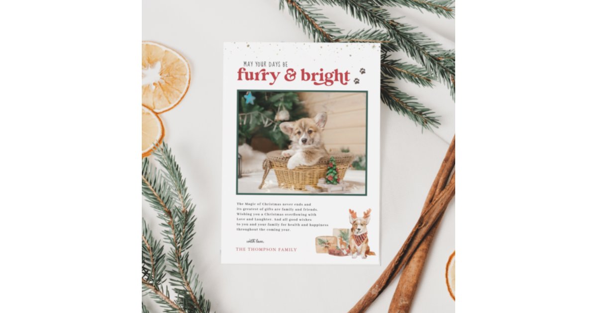 Furry & Bright | Pet Holiday Photo Card | Zazzle