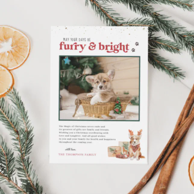 Furry & Bright | Pet Holiday Photo Card | Zazzle